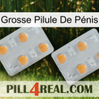 Grosse Pilule De Pénis 25